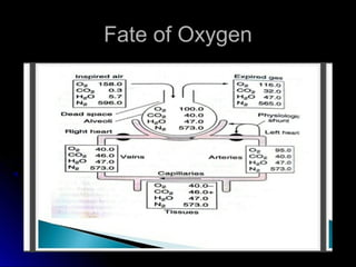 Fate of OxygenFate of Oxygen
 