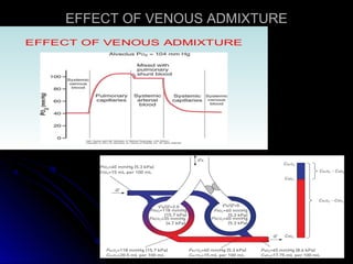 EFFECT OF VENOUS ADMIXTUREEFFECT OF VENOUS ADMIXTURE
 