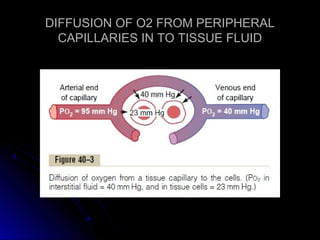 DIFFUSION OF O2 FROM PERIPHERALDIFFUSION OF O2 FROM PERIPHERAL
CAPILLARIES IN TO TISSUE FLUIDCAPILLARIES IN TO TISSUE FLUID
 