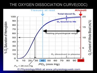 THE OXYGEN DISSOCIATION CURVE(ODC)THE OXYGEN DISSOCIATION CURVE(ODC)
 