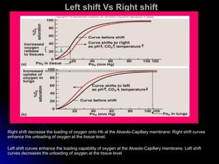 Left shift Vs Right shiftLeft shift Vs Right shift
Right shift decrease the loading of oxygen onto Hb at the Alveolo-Capillary membrane. Right shift curvesRight shift decrease the loading of oxygen onto Hb at the Alveolo-Capillary membrane. Right shift curves
enhance the unloading of oxygen at the tissue level.enhance the unloading of oxygen at the tissue level.
Left shift curves enhance the loading capability of oxygen at the Alveolo-Capillary membrane. Left shiftLeft shift curves enhance the loading capability of oxygen at the Alveolo-Capillary membrane. Left shift
curves decreases the unloading of oxygen at the tissue levelcurves decreases the unloading of oxygen at the tissue level
 