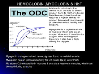 HEMOGLOBIN ,MYOGLOBIN & HbFHEMOGLOBIN ,MYOGLOBIN & HbF
Myoglobin is single chained heme pigment found in skeletal muscle.Myoglobin is single chained heme pigment found in skeletal muscle.
Myoglobin has an increased affinity for O2 (binds O2 at lower Po2)Myoglobin has an increased affinity for O2 (binds O2 at lower Po2)
Mb stores O2 temporarily in muscles & acts as a reserve in muscles, which canMb stores O2 temporarily in muscles & acts as a reserve in muscles, which can
be used during exercisebe used during exercise
 