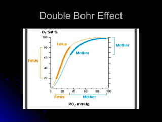 Double Bohr EffectDouble Bohr Effect
 