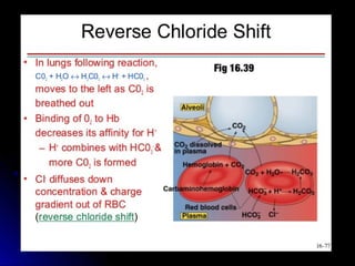Reverse Chloride ShiftReverse Chloride Shift
 
