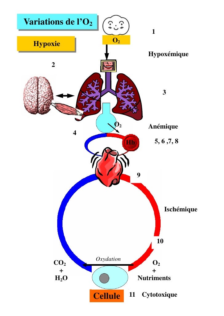 Oxygène et capnie esf