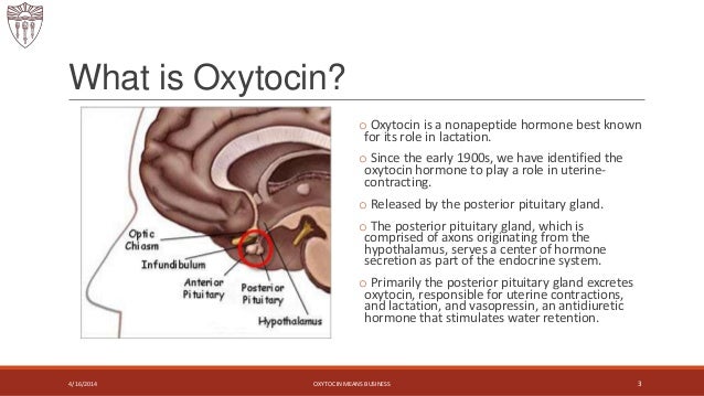 Oxytocin means business power point presenation