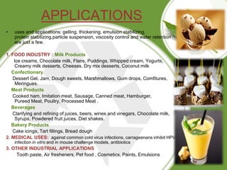 APPLICATIONS
• uses and applications: gelling, thickening, emulsion stabilizing,
protein stabilizing,particle suspension, viscosity control and water retention
are just a few.
1. FOOD INDUSTRY : Milk Products
Ice creams, Chocolate milk, Flans, Puddings, Whipped cream, Yogurts,
Creamy milk desserts, Cheeses, Dry mix desserts, Coconut milk
Confectionary
Dessert Gel, Jam, Dough sweets, Marshmallows, Gum drops, Comfitures,
Meringues.
Meat Products
Cooked ham, Imitation meat, Sausage, Canned meat, Hamburger,
Pureed Meat, Poultry, Processed Meat .
Beverages
Clarifying and refining of juices, beers, wines and vinegars, Chocolate milk,
Syrups, Powdered fruit juices, Diet shakes.
Bakery Products
Cake icings, Tart fillings, Bread dough
2. MEDICAL USES: against common cold virus infections, carrageenans inhibit HPV
infection in vitro and in mouse challenge models, antibiotics
3. OTHER INDUSTRIAL APPLICATIONS
Tooth paste, Air fresheners, Pet food , Cosmetics, Paints, Emulsions
 