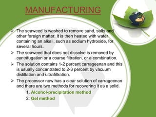 MANUFACTURING
 The seaweed is washed to remove sand, salts and
other foreign matter. It is then heated with water
containing an alkali, such as sodium hydroxide, for
several hours.
 The seaweed that does not dissolve is removed by
centrifugation or a coarse filtration, or a combination.
 The solution contains 1-2 percent carrageenan and this
is usually concentrated to 2-3 percent by vacuum
distillation and ultrafiltration.
 The processor now has a clear solution of carrageenan
and there are two methods for recovering it as a solid.
1. Alcohol-precipitation method
2. Gel method
 