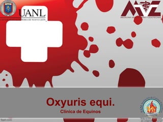 Oxyuris equi.
Clínica de Equinos