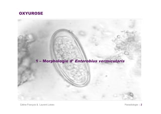 OXYUROSE




              1 – Morphologie d’ Enterobius vermicularis




Céline François & Laurent Lokiec                           Parasitologie   2
 