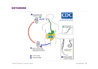 OXYUROSE




Céline François & Laurent Lokiec   Parasitologie   5
 