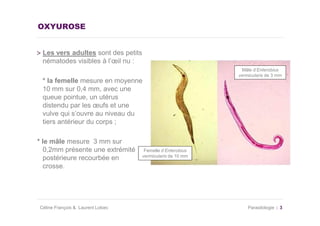 Oxyurose 0910 PPT Oxyurose 0910 PPT
