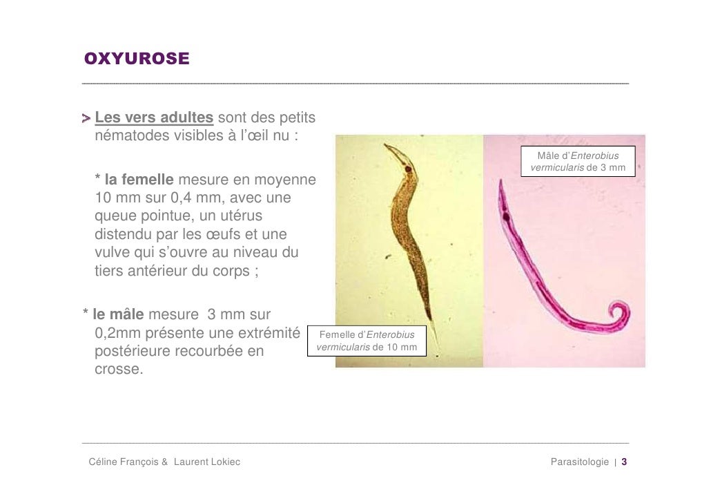 Oxyurose 0910