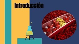 Introducción
 