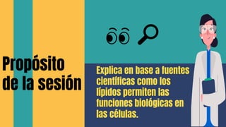 Propósito
de la sesión
Explica en base a fuentes
científicas como los
lípidos permiten las
funciones biológicas en
las células.
👀 🔎
 