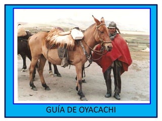 GUÍA DE OYACACHI