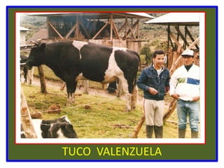 TUCO  VALENZUELA