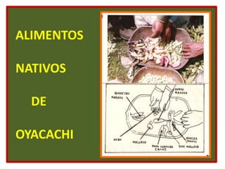 ALIMENTOS   NATIVOS       DE  OYACACHI