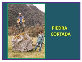 PIEDRA                                   CORTADA