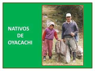    NATIVOS                                                  DE   OYACACHI