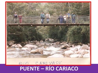 PUENTE – RÍO CARIACO