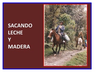 SACANDO   LECHE   Y   MADERA