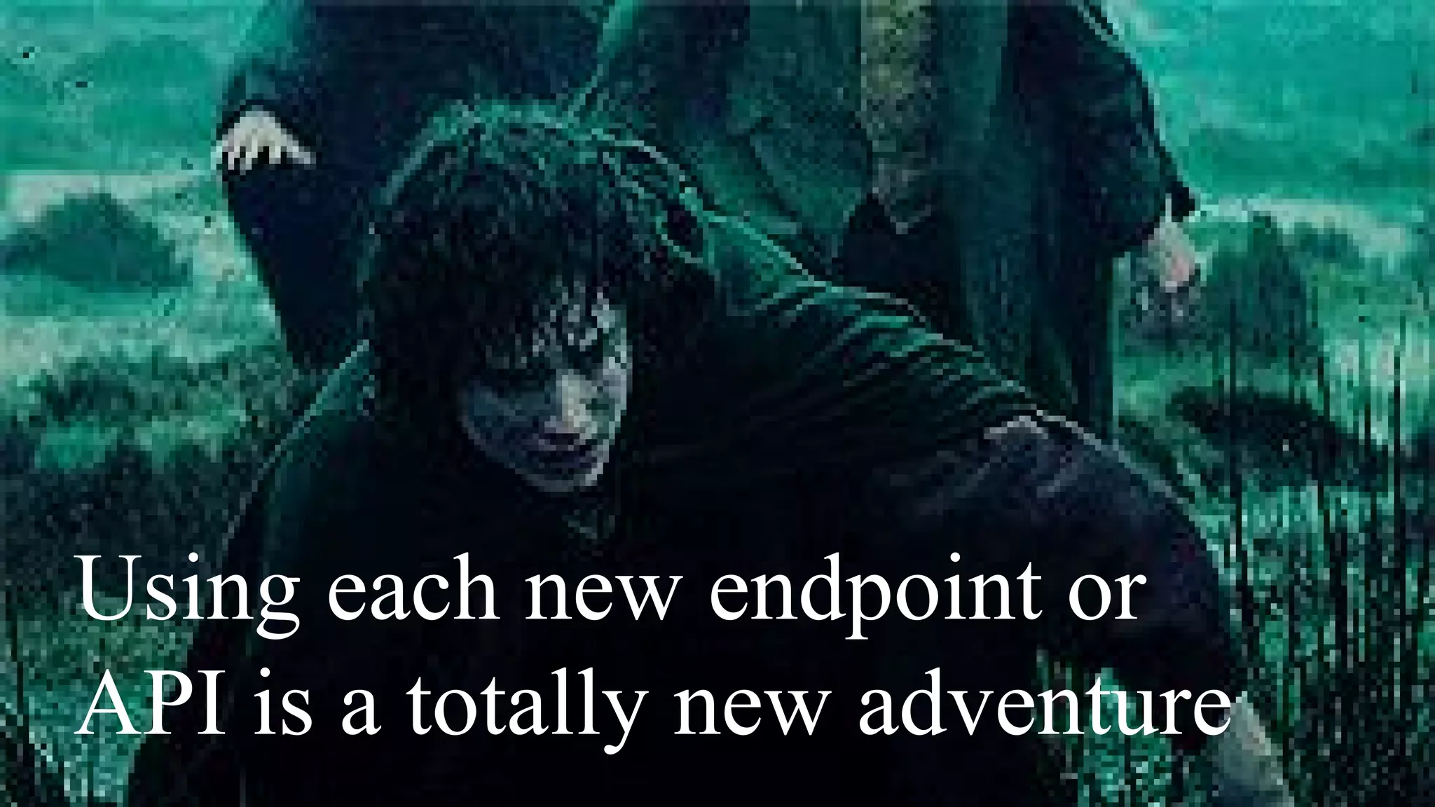 Using each new endpoint or
API is a totally new adventure
 