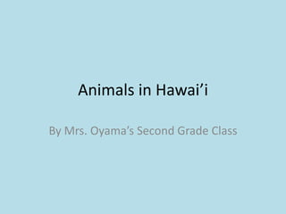 Animals in Hawai’i

By Mrs. Oyama’s Second Grade Class
 