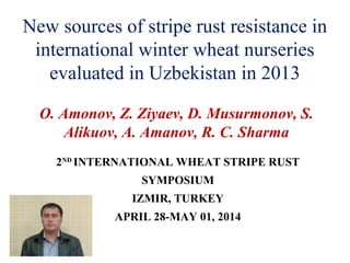 New sources of stripe rust resistance in
international winter wheat nurseries
evaluated in Uzbekistan in 2013
O. Amonov, Z. Ziyaev, D. Musurmonov, S.
Alikuov, A. Amanov, R. C. Sharma
2ND
INTERNATIONAL WHEAT STRIPE RUST
SYMPOSIUM
IZMIR, TURKEY
APRIL 28-MAY 01, 2014
 