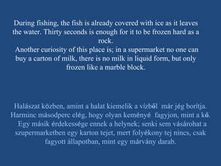 During fishing, the fish is already covered with ice as it leaves the water. Thirty seconds is enough for it to be frozen hard as a rock. Another curiosity of this place is; in a supermarket no one can buy a carton of milk, there is no milk in liquid form, but only frozen like a marble block. Hal á szat k ö zben, amint a halat kiemelik a v í zb ő l  m á r j é g bor í tja. Harminc m á sodperc el é g, hogy olyan kem é ny é   fagyjon, mint a k ő . Egy m á sik  é rdekess é ge ennek a helynek; senki sem v á s á rohat a szupermarketben egy karton tejet, mert foly é kony tej nincs, csak fagyott állapotban, mint egy m á rv á ny darab. 