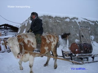 Víz szállítás… Water transporting… 