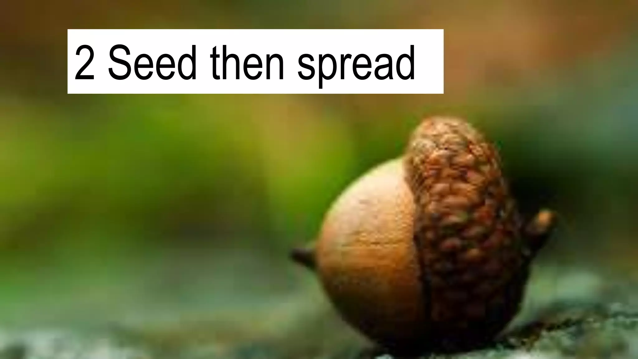 2 Seed then spread
 