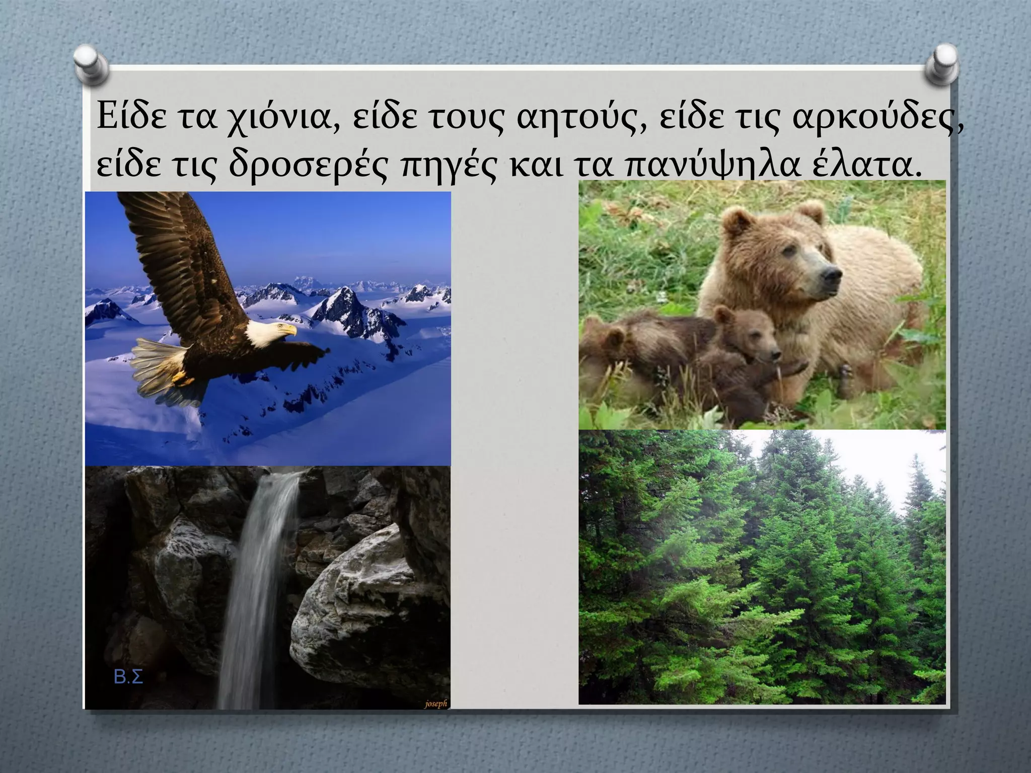 Εύδε τα χιόνια, εύδε τουσ αητούσ, εύδε τισ αρκούδεσ,
εύδε τισ δροςερϋσ πηγϋσ και τα πανύψηλα ϋλατα.
Β.Σ
 