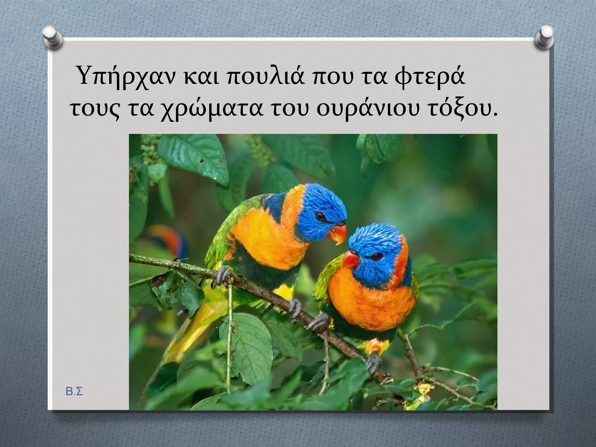 Υπόρχαν και πουλιϊ που τα φτερϊ τουσ
εύχαν τα χρώματα του ουρϊνιου τόξου.
Β.Σ
 