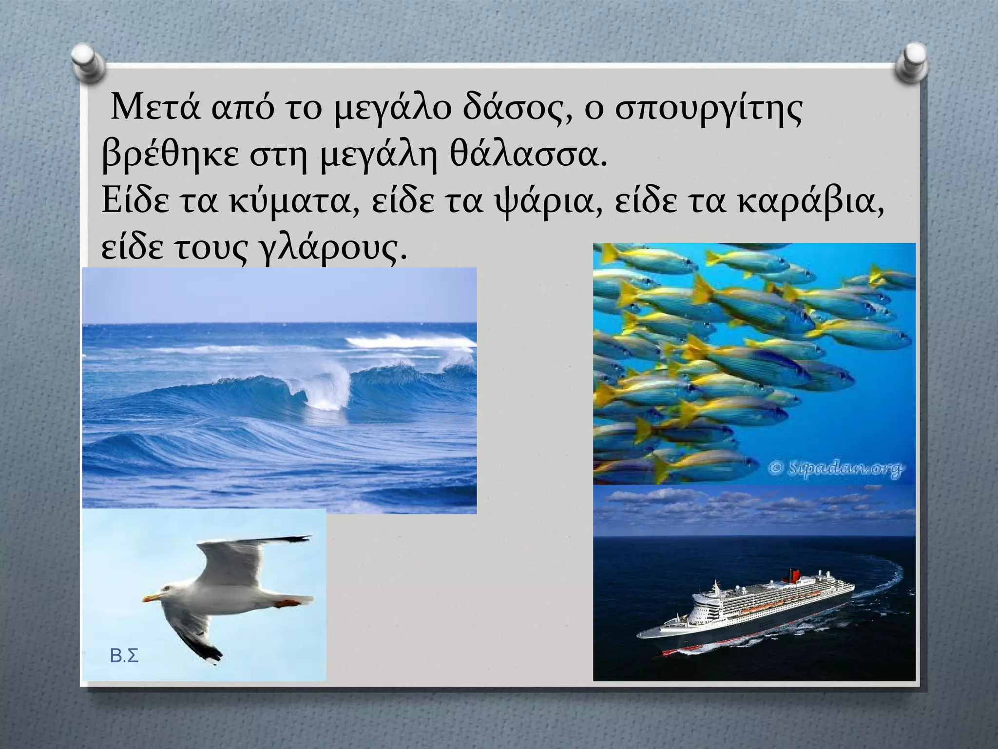 Μετϊ από το μεγϊλο δϊςοσ, ο ςπουργύτησ
βρϋθηκε ςτη μεγϊλη θϊλαςςα.
Εύδε τα κύματα, εύδε τα ψϊρια, εύδε τα καρϊβια,
εύδε τουσ γλϊρουσ.
Β.Σ
 