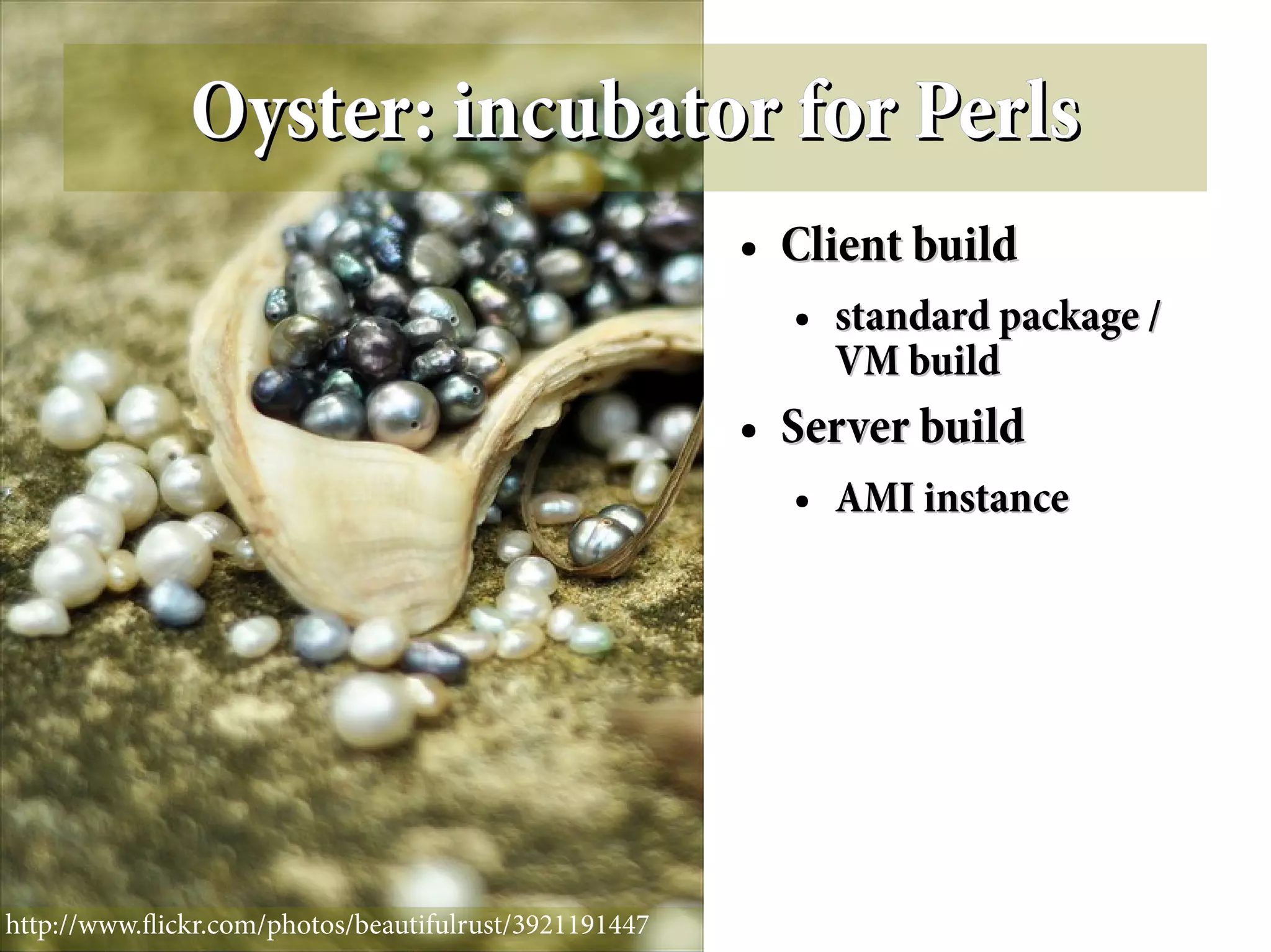Oyster: incubator for Perls
                                                       ●   Client build
                                                           ●   standard package /
                                                               VM build
                                                       ●   Server build
                                                           ●   AMI instance




http://www.fickr.com/photos/beautifulrust/3921191447
 
