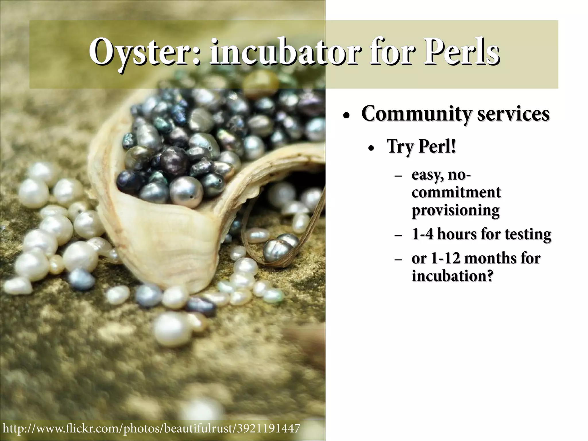 Oyster: incubator for Perls
                                                       ●   Community services
                                                           ●   Try Perl!
                                                                –   easy, no-
                                                                    commitment
                                                                    provisioning
                                                                –   1-4 hours for testing
                                                                –   or 1-12 months for
                                                                    incubation?




http://www.fickr.com/photos/beautifulrust/3921191447
 