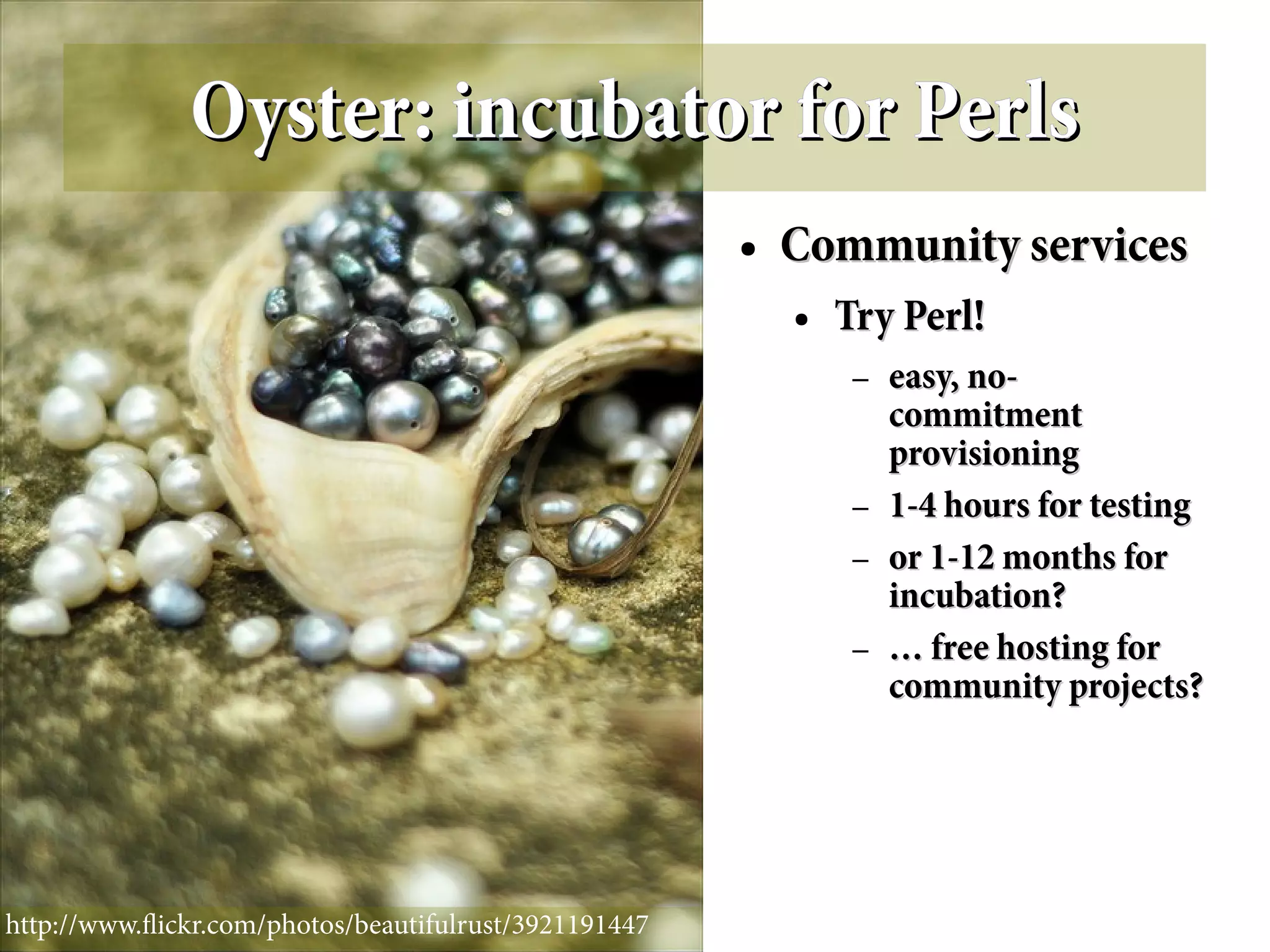 Oyster: incubator for Perls
                                                       ●   Community services
                                                           ●   Try Perl!
                                                                –   easy, no-
                                                                    commitment
                                                                    provisioning
                                                                –   1-4 hours for testing
                                                                –   or 1-12 months for
                                                                    incubation?
                                                                –   … free hosting for
                                                                    community projects?




http://www.fickr.com/photos/beautifulrust/3921191447
 