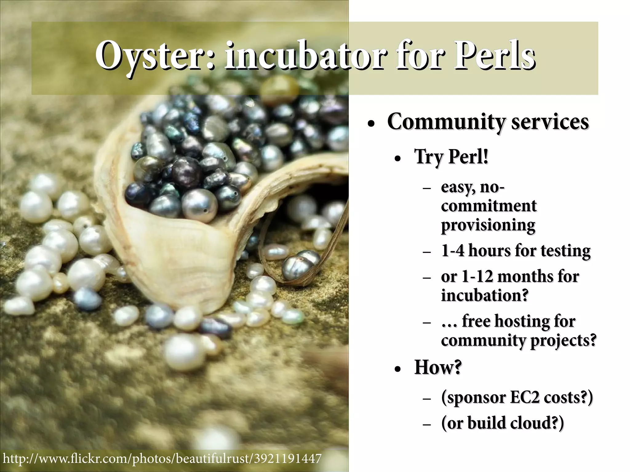 Oyster: incubator for Perls
                                                       ●   Community services
                                                           ●   Try Perl!
                                                                –   easy, no-
                                                                    commitment
                                                                    provisioning
                                                                –   1-4 hours for testing
                                                                –   or 1-12 months for
                                                                    incubation?
                                                                –   … free hosting for
                                                                    community projects?
                                                           ●   How?
                                                                –   (sponsor EC2 costs?)
                                                                –   (or build cloud?)
http://www.fickr.com/photos/beautifulrust/3921191447
 