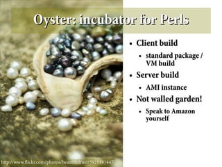 Oyster: incubator for Perls
                                                       ●   Community services
                ...