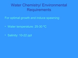 Water Chemistry/ Environmental
Requirements
For optimal growth and induce spawning:
• Water temperature: 25-30 ºC
• Salinity: 10-22 ppt
 