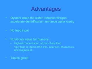Advantages
• Oysters clean the water, remove nitrogen,
accelerate denitrification, enhance water clarity
• No feed input
• Nutritional value for humans:
– Highest concentration of zinc of any food
– Very high in vitamin B12, iron, selenium, phosphorus,
and magnesium
• Tastes great!
 