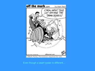 Even though a pearl oyster is different…
 