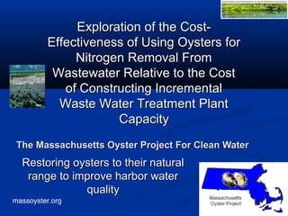 massoyster.org
The Massachusetts Oyster Project For Clean WaterThe Massachusetts Oyster Project For Clean Water
Restoring oysters to their naturalRestoring oysters to their natural
range to improve harbor waterrange to improve harbor water
qualityquality
Exploration of the Cost-Exploration of the Cost-
Effectiveness of Using Oysters forEffectiveness of Using Oysters for
Nitrogen Removal FromNitrogen Removal From
Wastewater Relative to the CostWastewater Relative to the Cost
of Constructing Incrementalof Constructing Incremental
Waste Water Treatment PlantWaste Water Treatment Plant
CapacityCapacity
 