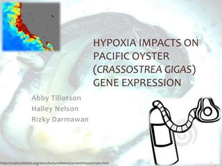 HYPOXIA IMPACTS ON
                                                        PACIFIC OYSTER
                                                        (CRASSOSTREA GIGAS)
                                                        GENE EXPRESSION
                  Abby Tillotson
                  Halley Nelson
                  Rizky Darmawan




http://osufoundation.org/news/featurednews/current/moore/index.htm
 