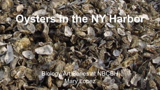Biology/Art Series at NBCBH
Oysters in the NY Harbor
Mary Lopez
 