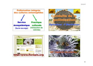 11/11/13 
10 
Pollinisation intégrée 
des cultures entomophiles 
Service 
écosystémique 
(faune sauvage) 
Practique 
culturale 
(introduction de 
colonies) 
467 espèces de plantes ! 
http://www.florapis.org39 40 
 