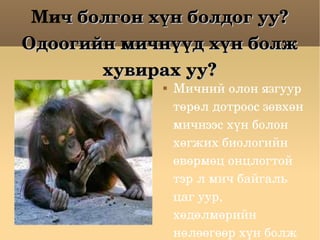 Ми ч болгон хүн болдог уу? Одоогийн мичнүүд хүн болж хувирах уу? Мичний олон язгуур төрөл дотроос зөвхөн мичнээс хүн болон хөгжих биологийн өвөрмөц онцлогтой  тэр л мич байгаль цаг уур, хөдөлмөрийн нөлөөгөөр хүн болж хувирчээ.  