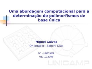 Uma abordagem computacional para a
determinação de polimorfismos de
base única
Miguel Galves
Orientador: Zanoni Dias
IC - UNICAMP
01/12/2006
 