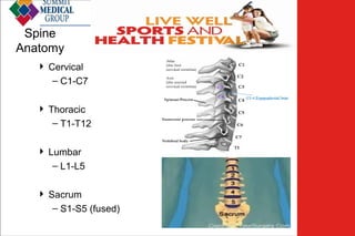 Spine
Anatomy
 Cervical
– C1-C7
 Thoracic
– T1-T12
 Lumbar
– L1-L5
 Sacrum
– S1-S5 (fused)

Low Back
Pain

 